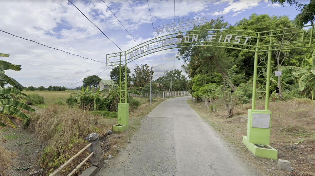 Residential Farm Land Camiling, Tarlac, Property, For Sale, Lot on