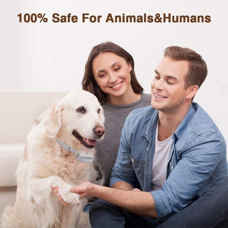 Ultpeak dog bark control sales