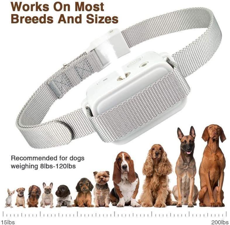 ULTPEAK Anti Bark Collar Dog Training Collar Waterproof Dog