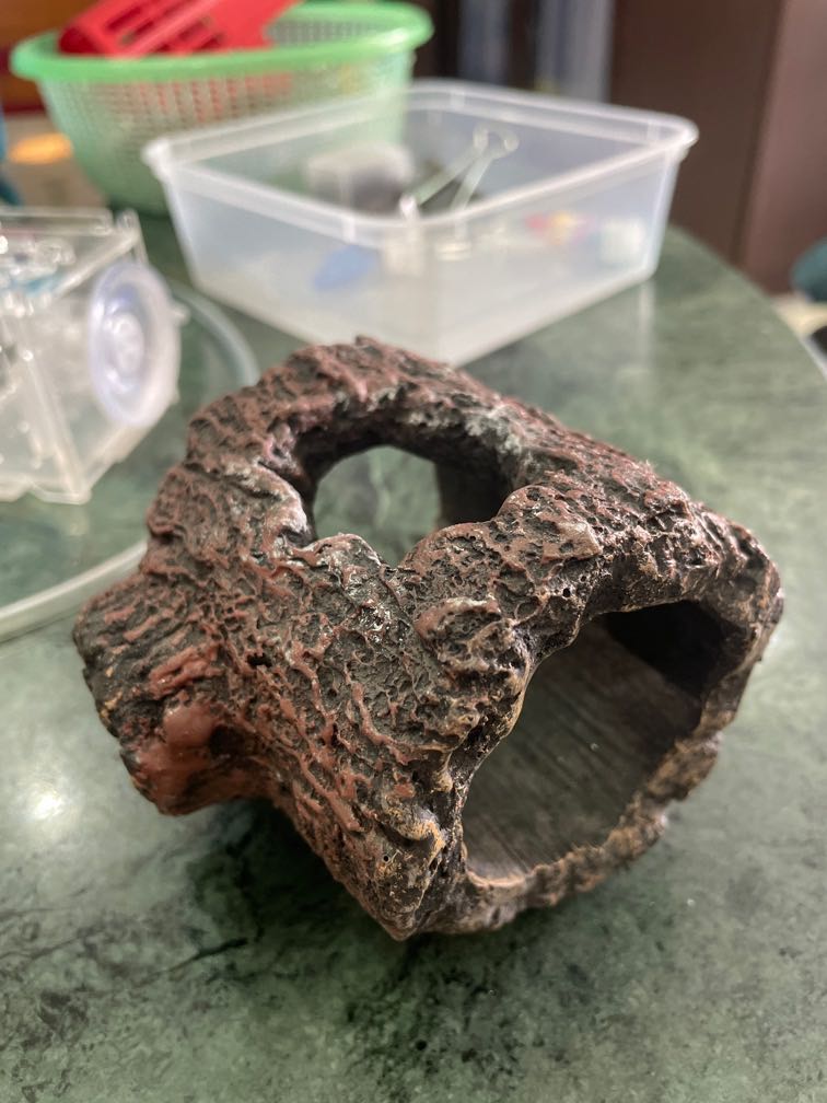 Zoo Med Floating Betta Log Pet Supplies Homes Other Pet Accessories on Carousell