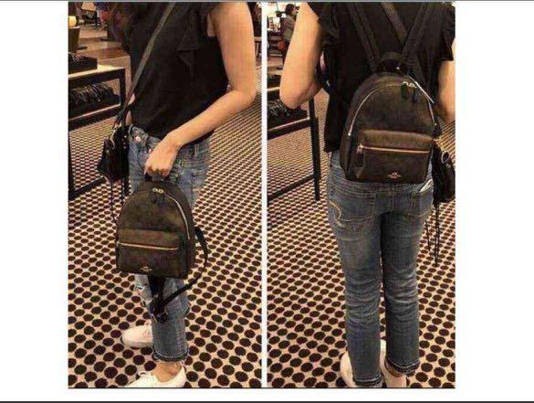 coach mini charlie backpack in signature canvas