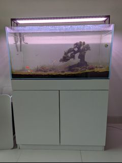 (Category: ) located in . Submitted by anand84sg (Listing ID 1157017469, Image 1). Description: .
