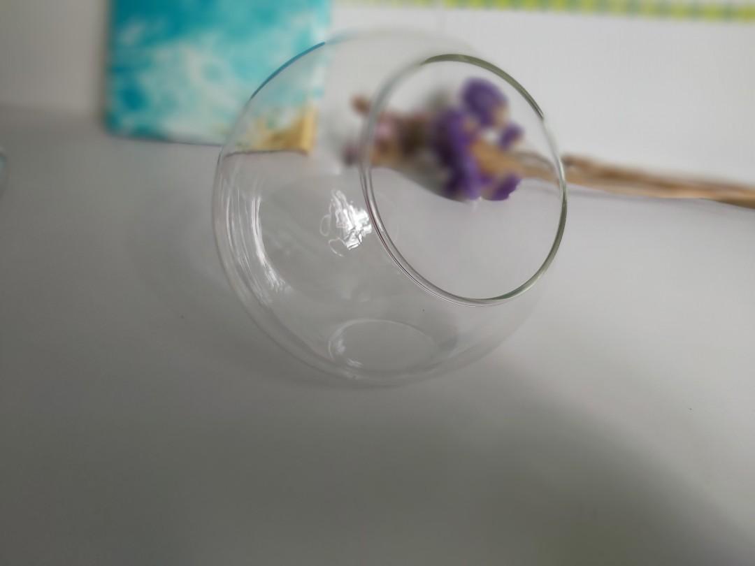 三個玻璃瓶水草缸魚缸生態缸生態微景觀微景缸水草造景觀魚缸aquarium 連浮萍水草紅色小魚山水可diy Free Plant Kids