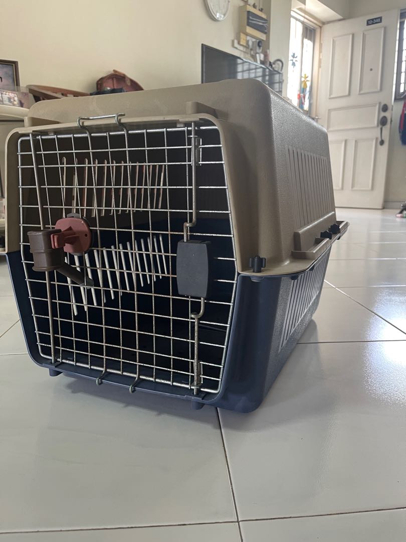 Airline approved travel crate for pets, Pet Supplies, Homes & Other Pet