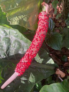 Anthurium crassinervium Jungle Bush berries