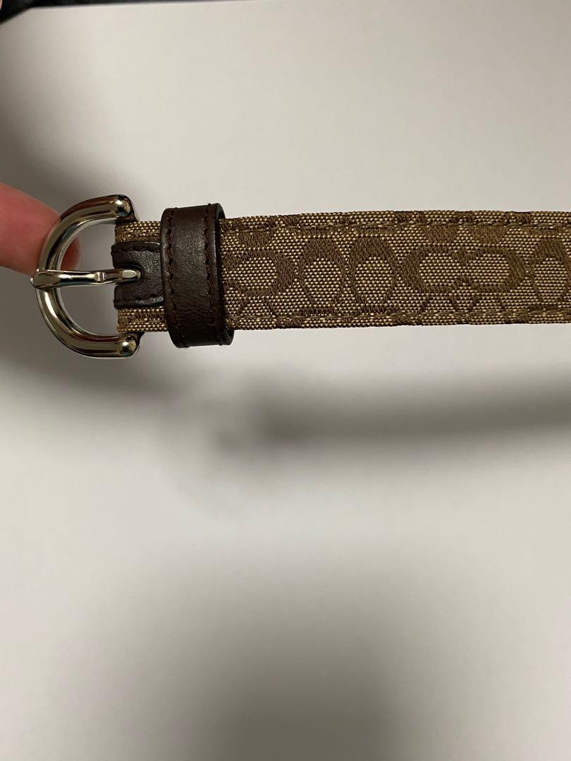 classic belt in signature canvas