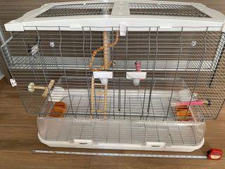LilipHut Bird Cage For Sale