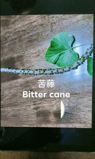 Bitter Cane for people who having diabetes
