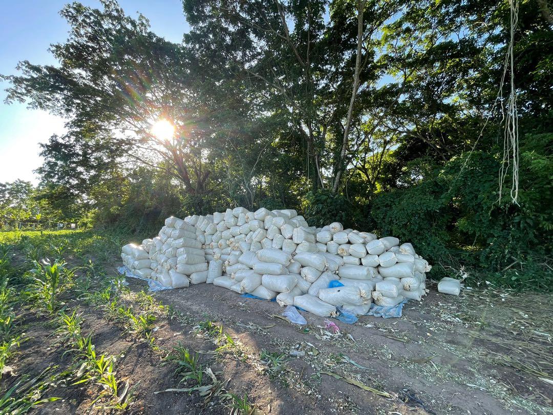CORN SILAGE FOR SALE!, Everything Else, Others on Carousell