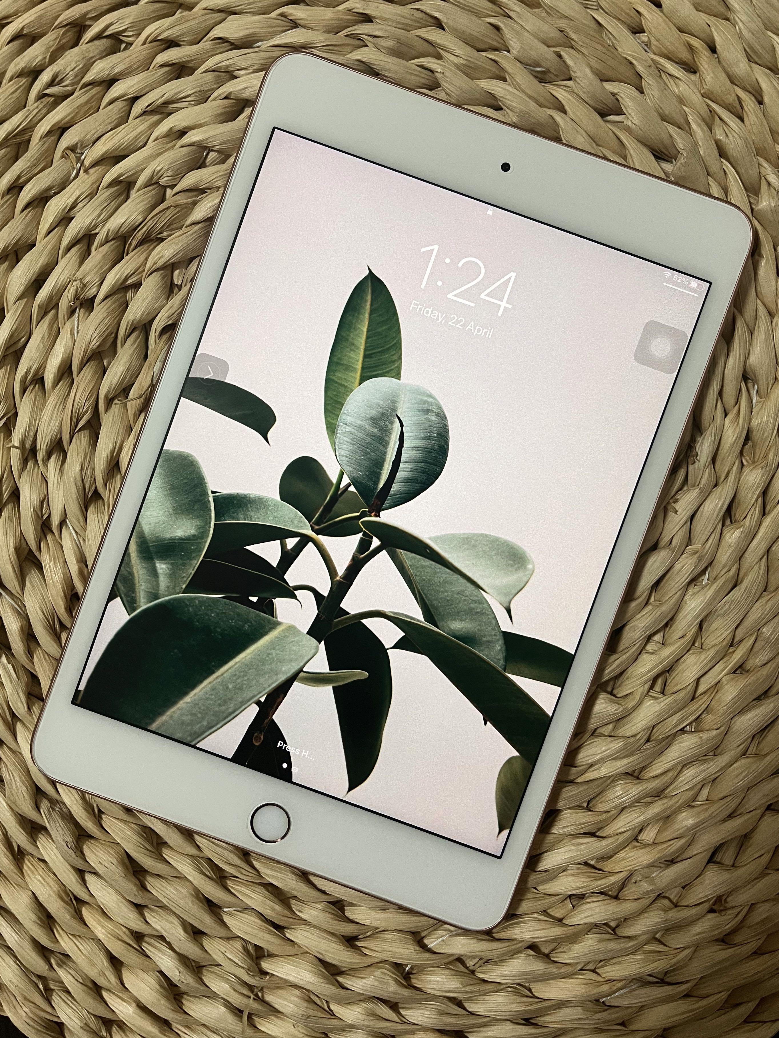 mini 5 ipad apple ゴールド 64GB - www.princessmotoryachtsales.com