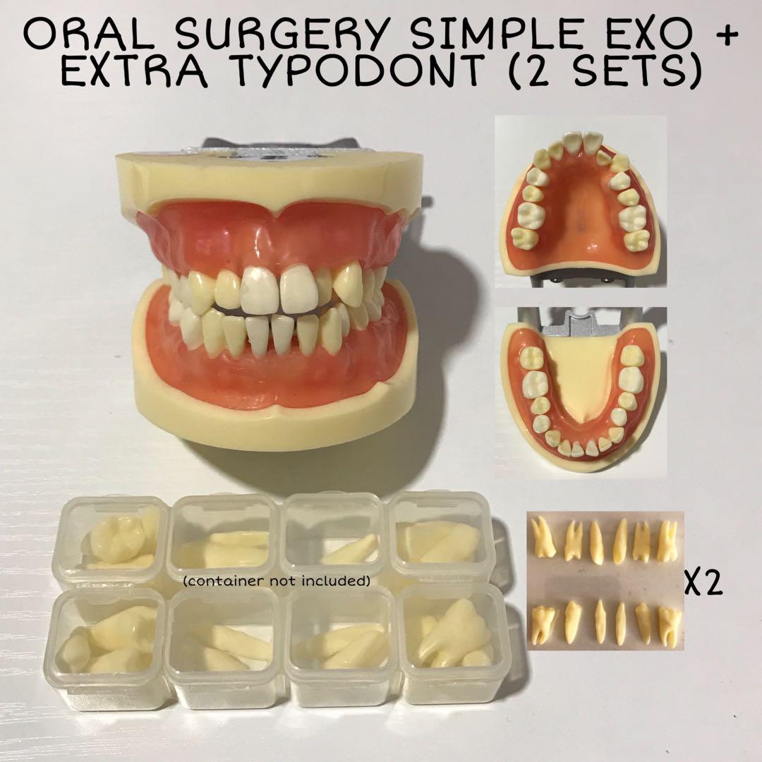 ORAL SURGERY SIMPLE EXO ARTICULATOR + EXTRA TYPODONT (2 SETS), Health & Nutrition, Medical