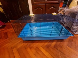 (Category: ) located in . Submitted by trynaselloff (Listing ID 1157029310, Image 1). Description: .