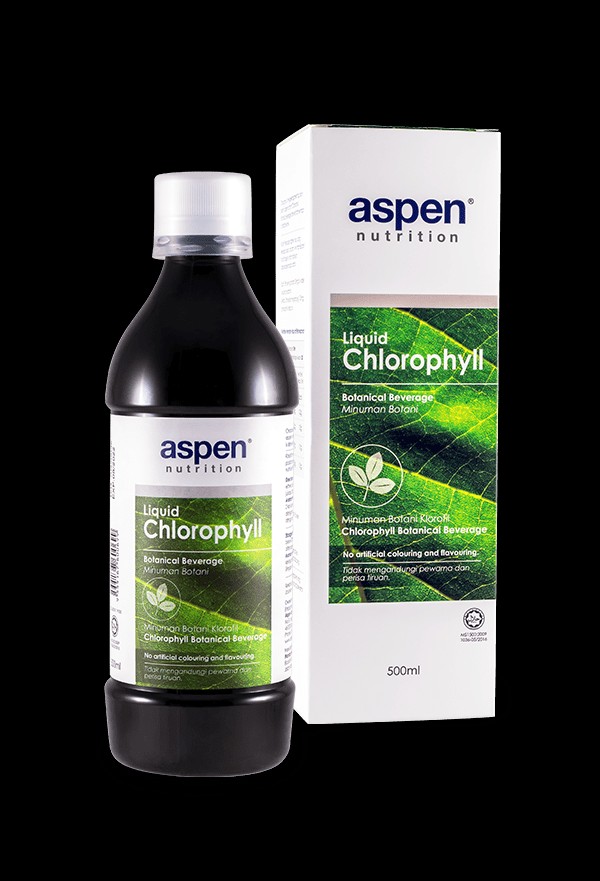 Chlorophyll aspen Aspen trees