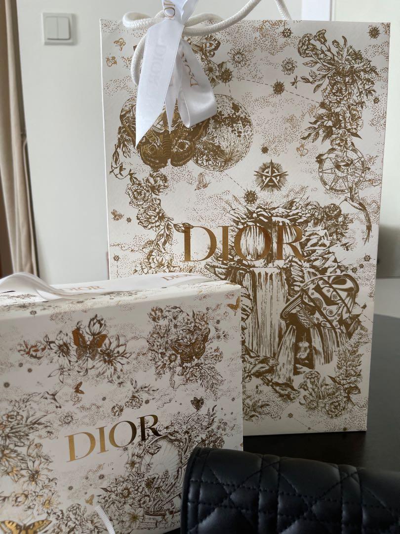 Dior Lady Dior Nano Pouch Lambskin Belt Pouch, Luxury, Bags & Wallets on  Carousell