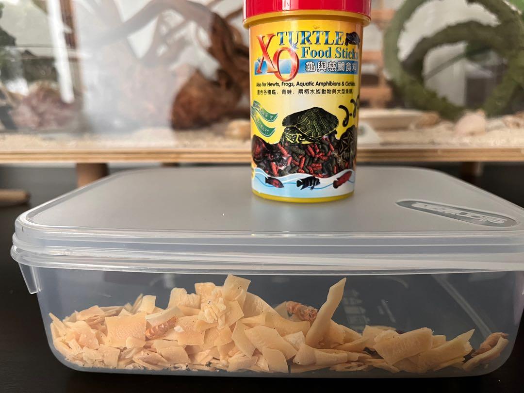 hermit crab supplies