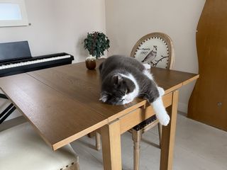 （分類：）位於 。 由 chan426 提交（商品編號 1157238464，圖片 1）。簡介： 。