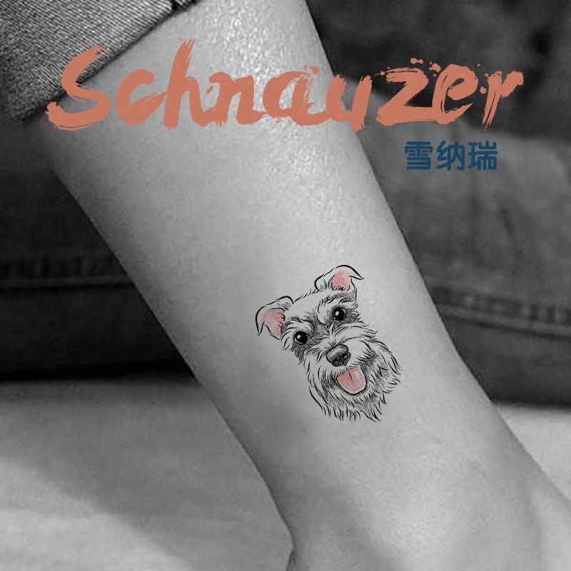 Schnauzer tattoo stickers 雪纳瑞可洗纹身贴, Pet Supplies, Homes & Other Pet Accessories on Carousell