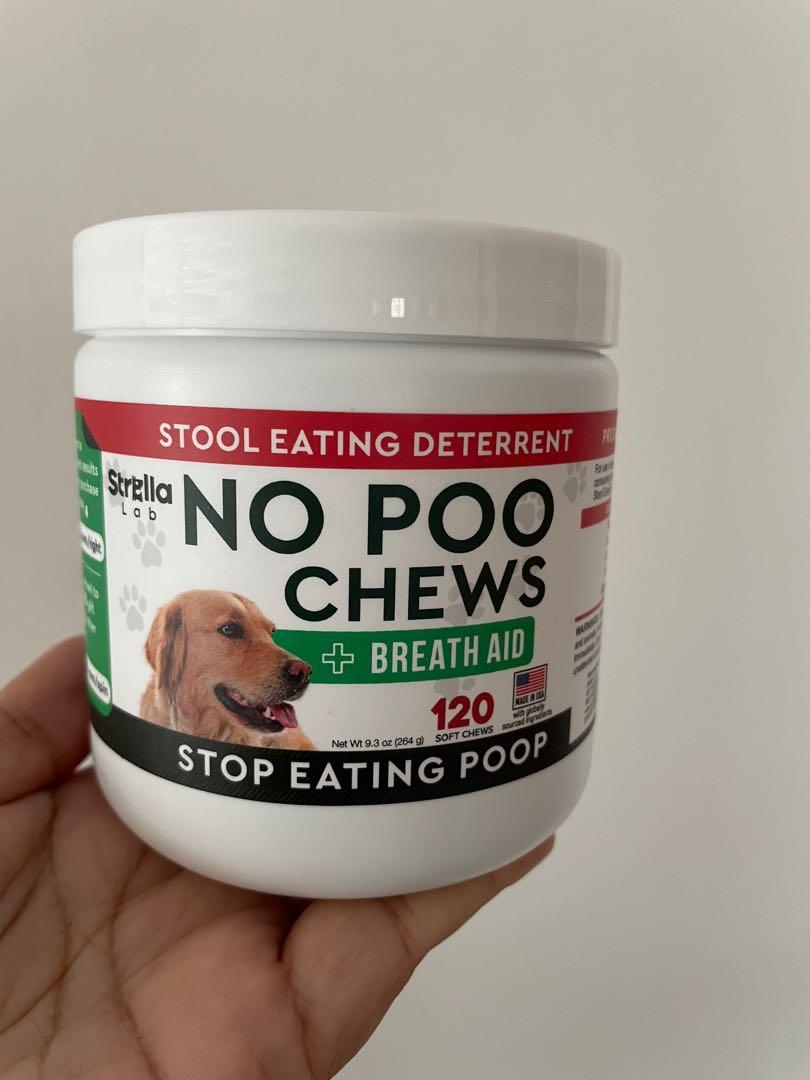 Do Probiotics Help Dogs Stop Eating Poop