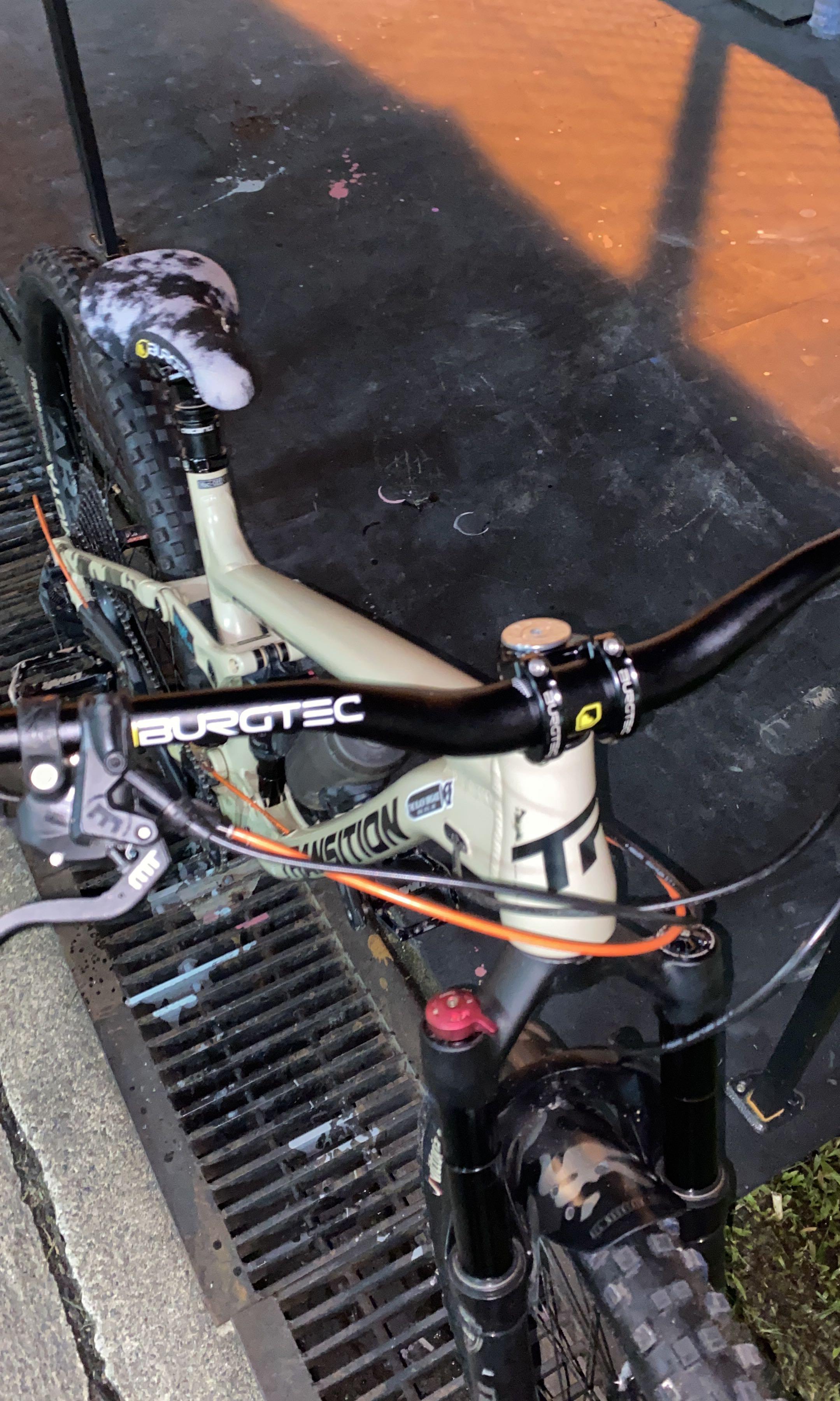 Transition scout sales for sale