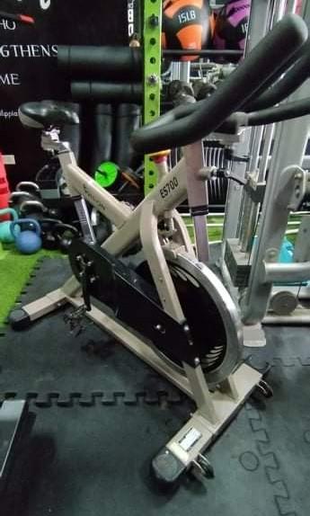 Vision fitness sales es700 review