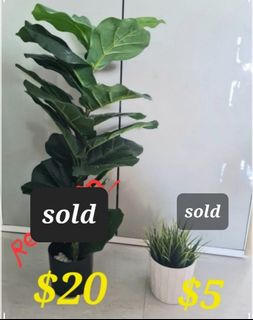 (Category: ) located in . Submitted by chingutetch (Listing ID 1156765996, Image 1). Description: .