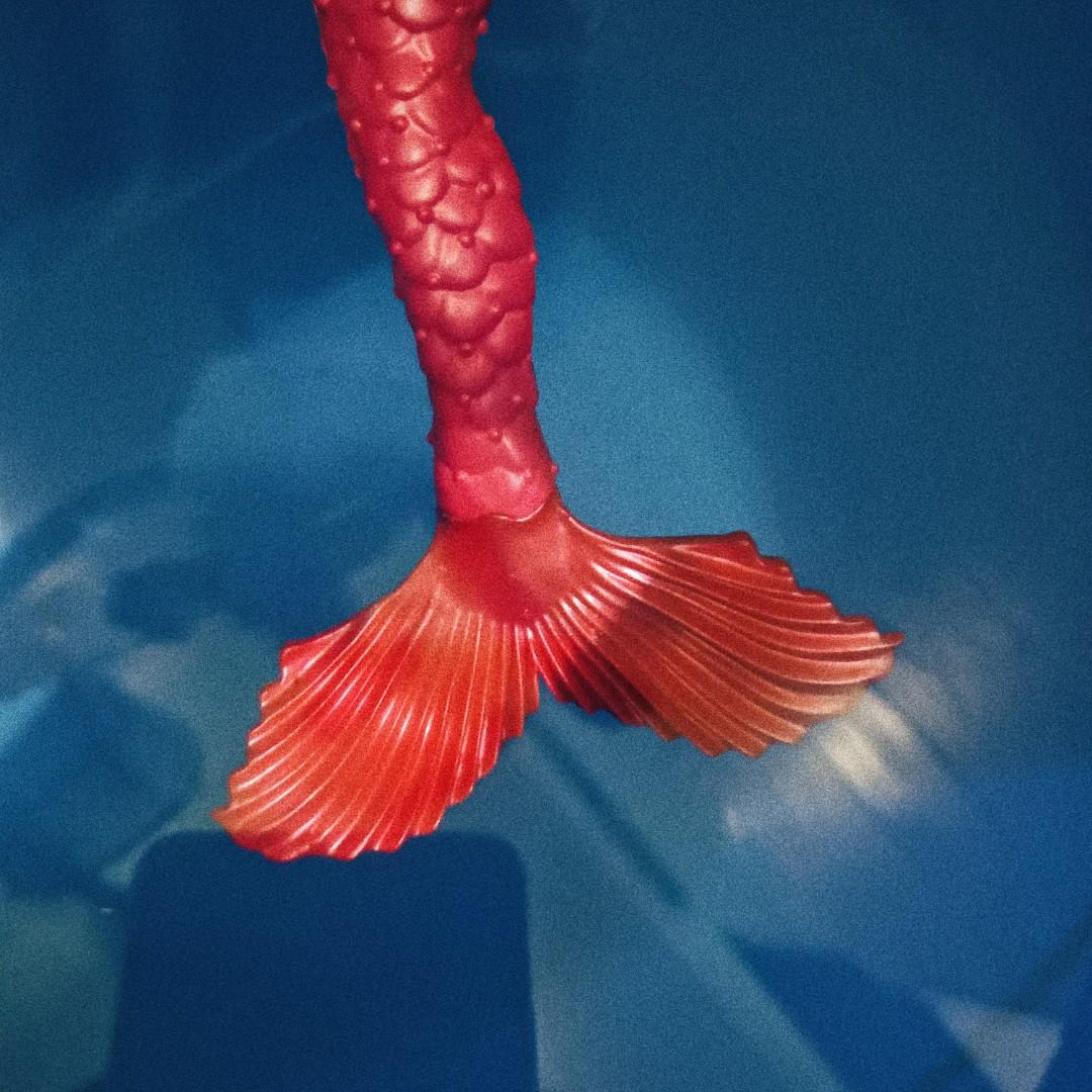 Barbie Mermaid Bath Doll, Hobbies & Toys, Toys & Games on Carousell