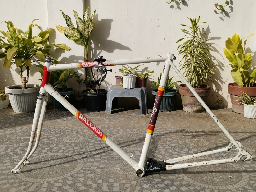 raleigh bike aluminum frame