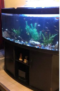 (Category: ) located in . Submitted by selsel30 (Listing ID 1157457293, Image 1). Description: .