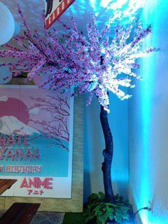 Sakura tree for RentSale Cherry Blossoms