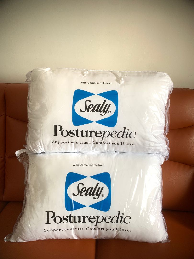 Sealy premium sales pillow