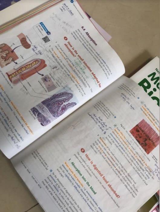 Dse BIO mastering biology 1A 1B 2 3 4; elective hymns physiology, 興趣及遊戲 ...