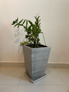 （分類：）位於 。 由 raerae5678 提交（商品編號 1157540466，圖片 1）。簡介： 。