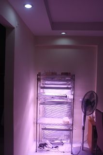(Category: ) located in . Submitted by nxt15 (Listing ID 1156443246, Image 1). Description: .