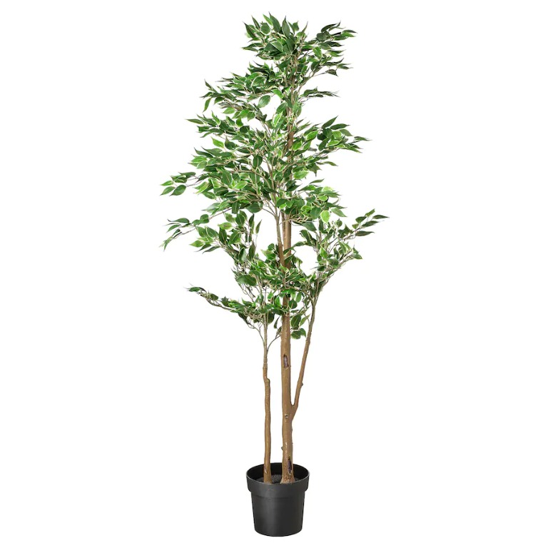 IKEA Fejka Artificial Potted Plant, Furniture & Home Living, Gardening