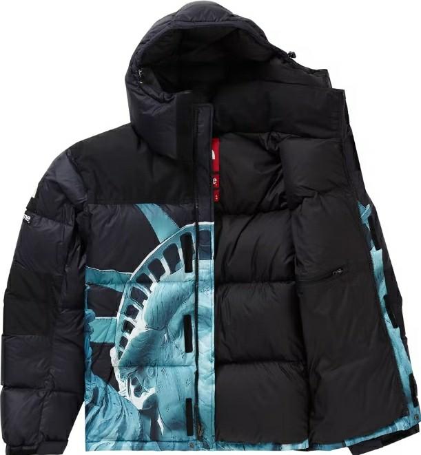 statue liberty north face