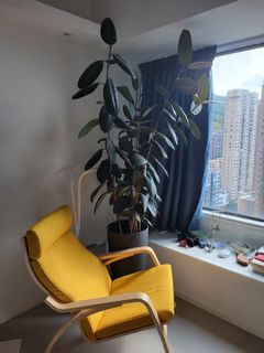 （分類：）位於 。 由 chililena 提交（商品編號 1157594779，圖片 1）。簡介： 。