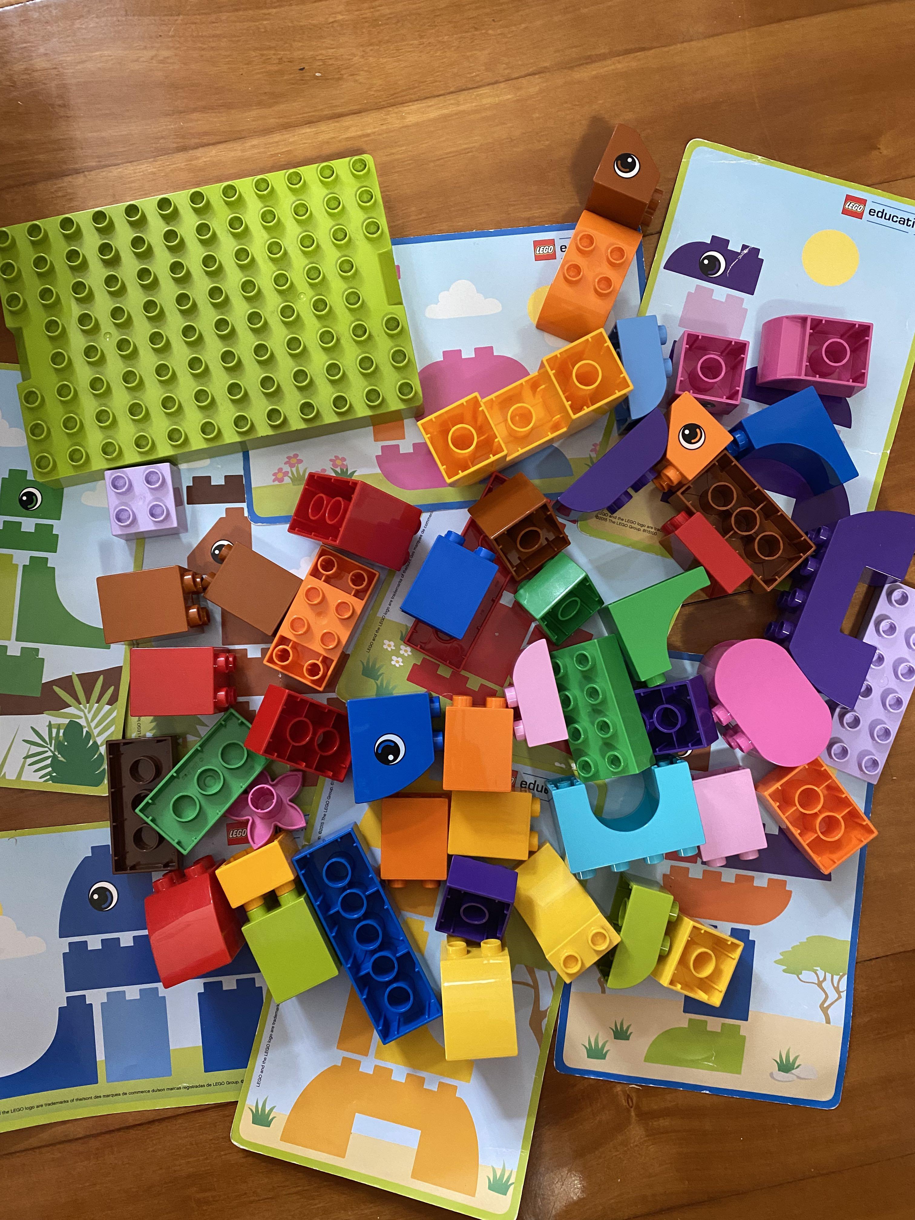 Lego education deals animal bingo