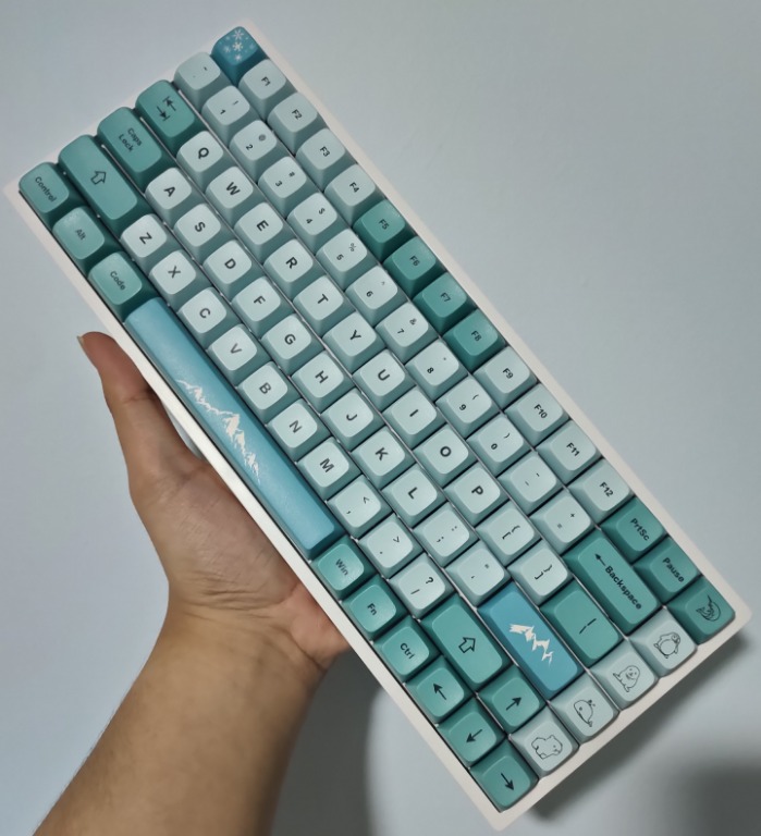 Modded 75 custom keyboard with akko rose reds, Computers & Tech, Parts