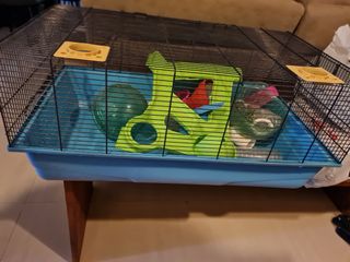 (Category: ) located in . Submitted by faimama (Listing ID 1157552250, Image 1). Description: .