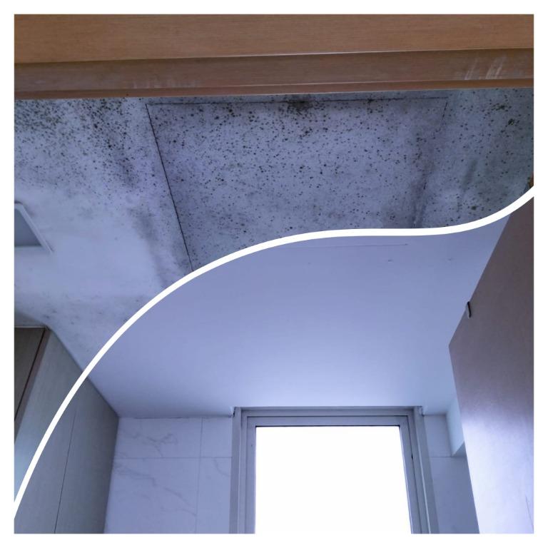 012 AntiMould Wall & Ceiling Coating/Painting Service, Home Services