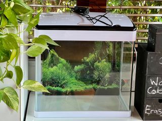 (Category: ) located in . Submitted by jkw_sg (Listing ID 1157704321, Image 1). Description: .