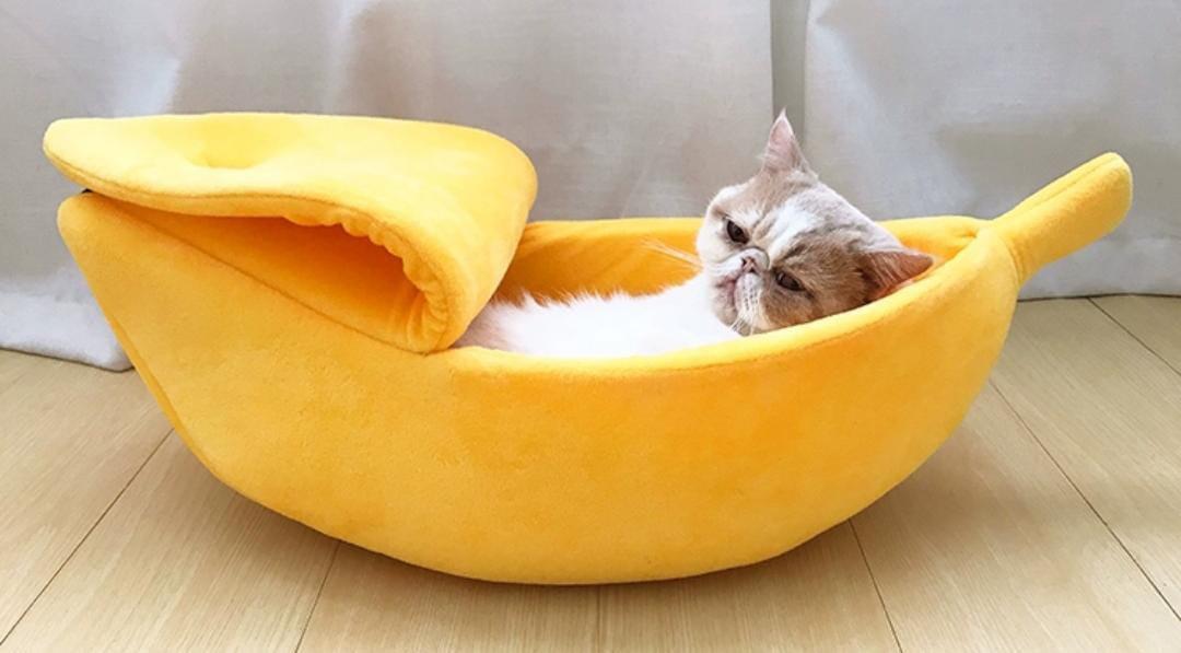 Banana sale bed cat