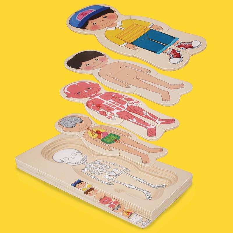 Human body puzzle kids puzzle Montessori play set early learning ...