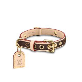 lv dog collar and leash