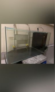 (Category: ) located in . Submitted by Shoptoday (Listing ID 1157847567, Image 1). Description: .