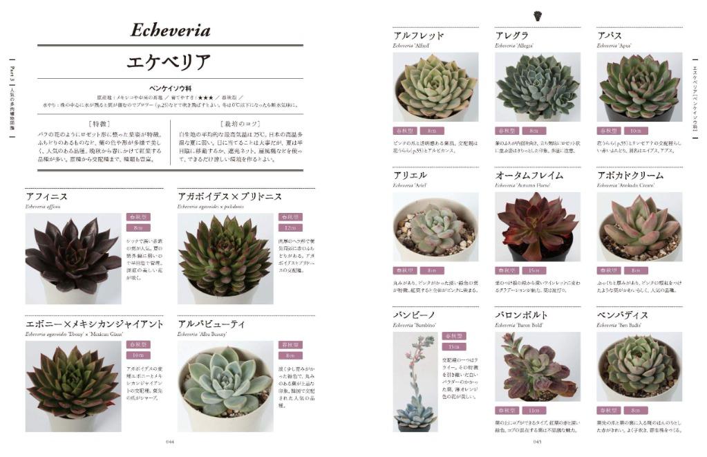 多肉植物715種圖鑑 よくわかる多肉植物 興趣及遊戲 手作 自家設計 文具及工藝 花 Carousell