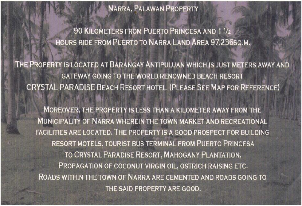 9.7 hectares Flat Land in Narra, Palawan, Property, For Sale, Lot on