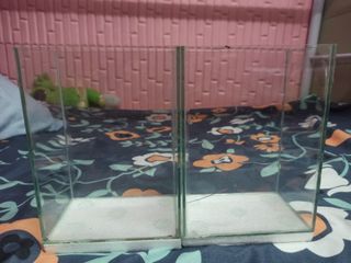 (Category: ) located in . Submitted by jrmil (Listing ID 1157907095, Image 1). Description: .