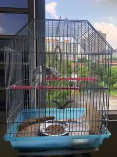 (Category: ) located in . Submitted by shasha020 (Listing ID 1157860703, Image 1). Description: .