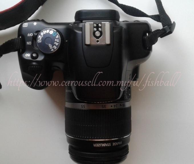  Canon EOS Rebel T1i (500D) Digital SLR Kit w/EF-S 18-55mm  f/3.5-5.6 IS Lens & Canon EF-S 55-250mm f/4-5.6 IS Autofocus Lens : Digital  Slr Camera Bundles : Electronics